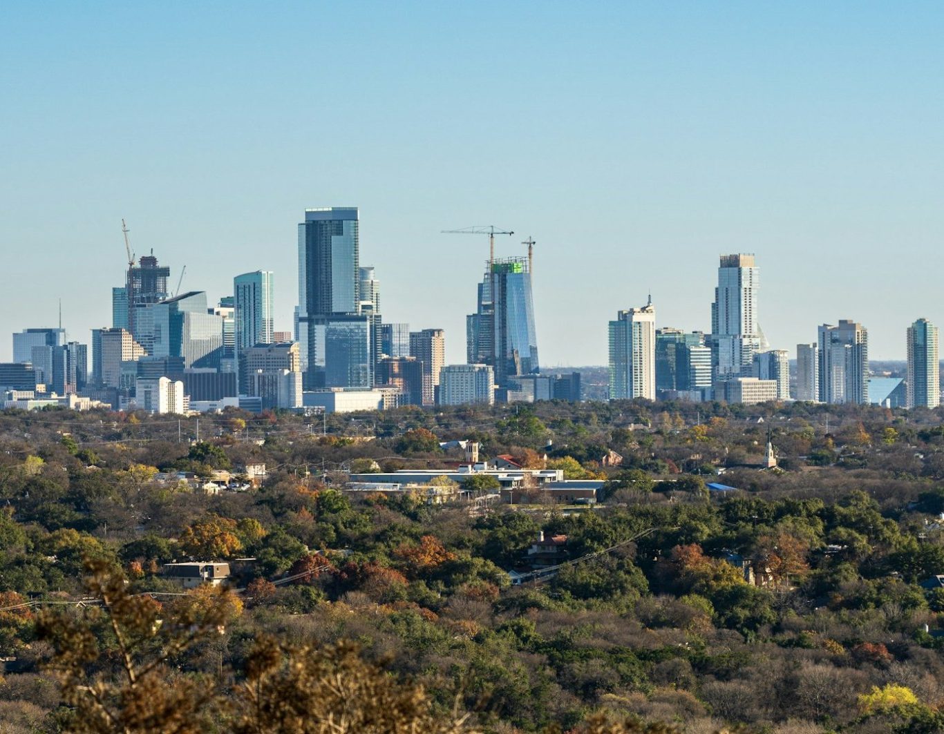 Panorámica de una ciudad moderna con rascacielos y vegetación en primer plano.